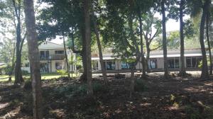Zahrada ubytování Cahuita Inn