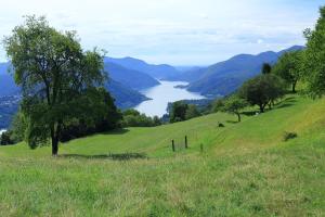 Paesaggio naturale nelle vicinanze dell'appartamento