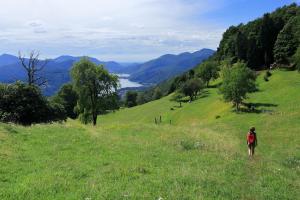 Paesaggio naturale nelle vicinanze dell'appartamento