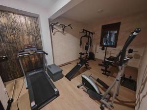Γυμναστήριο ή/και όργανα γυμναστικής στο FoRest apartment & spa