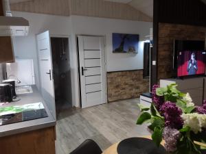 Η κουζίνα ή μικρή κουζίνα στο Comfortable holiday homes, swimming pool, Rewal