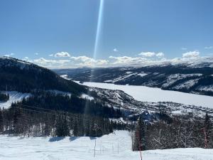 a view of a ski slope with snow and trees at Perfect location ski-in Åre in Åre +3 photos