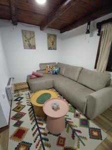 Posezení v ubytování Planinska kuća Čudesni bor + 15 fotografií