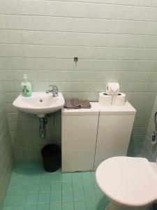 Koupelna v ubytování Apartmán U Slunečnice
