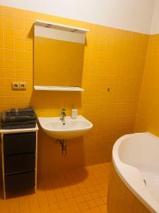 Koupelna v ubytování Apartmán U Slunečnice + 14 fotografií