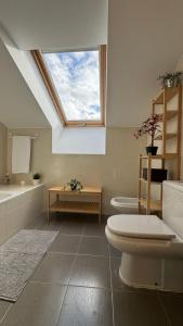 a bathroom with a toilet and a skylight at Apartamentos Suites Olmedo in Olmedo +48 photos