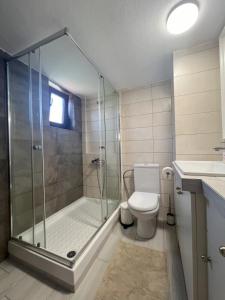 a bathroom with a shower and a toilet and a sink at DoorMat #20 Beach house Mikiverna in Kalyves Poligirou +34 photos
