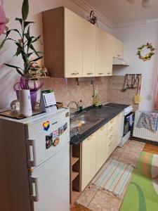 Kuchyň nebo kuchyňský kout v ubytování Apartman Pašićeva