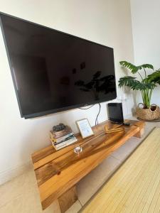 TV a/nebo společenská místnost v ubytování Rincon de Paz