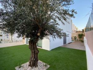 un árbol en el patio de una casa en Casa do Cruzeiro - BY SCH, en Foz do Arelho