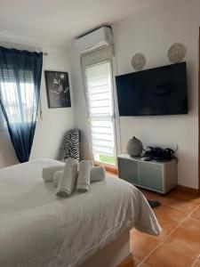 a bedroom with a bed with a television and a window at Circus-Goretti House in Mairena del Aljarafe