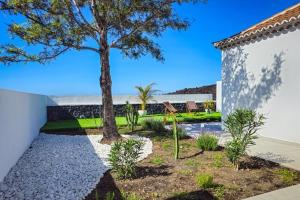 a tree in a yard next to a building at Villa Veni mit Privatpool in Tazacorte am neuen Lavastrom in Tazacorte