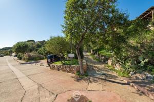 Zahrada ubytování Villa Melita