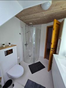 a bathroom with a shower and a toilet and a sink at Willkommen in Frifelt Nähe Rømø mit wunderschönen Garten in Skærbæk +25 photos