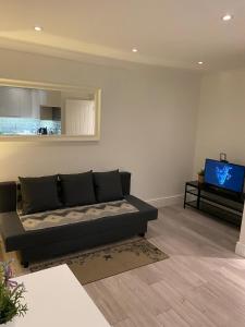 a living room with a couch and a tv at No 5 Accommodation in London