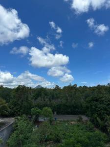 Phong cảnh thiên nhiên gần biệt thự +6 ảnh