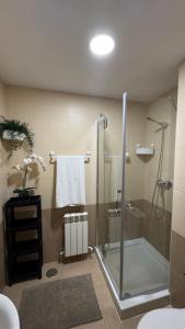 a bathroom with a shower with a glass door at Apartamentos Suites Iscar in Iscar +42 photos