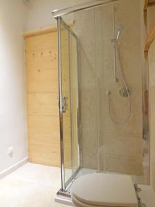 a bathroom with a shower with a toilet at Stone House Apartments in Brtonigla