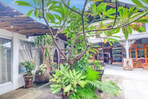 Zahrada ubytování Collection O Sanur Near Bali Exotic Marine Park