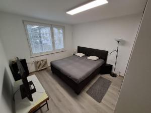 尼特拉2 izbový byt 65 m2 so 4 lôžkami的带床和窗户的卧室