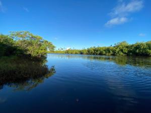 a river with trees on the side of it at Casa de praia Jacuipe Condomínio Planeta Água 1 in Campos