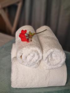 a white towel with a flower on top of it at Durbanville CPT Pet Friendly, Self-Catering in Oakdale