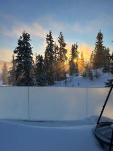 a fence covered in snow with trees in the background at Sjusjøstua by Norgesbooking - cabin close to cross country trails in Ringsaker