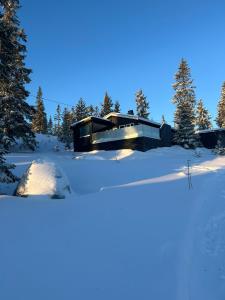 a modern house in the snow with trees at Sjusjøstua by Norgesbooking - cabin close to cross country trails in Ringsaker