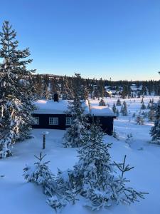 a house covered in snow in a field with trees at Sjusjøstua by Norgesbooking - cabin close to cross country trails in Ringsaker