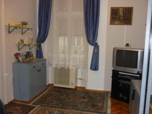 a living room with a television and a window at Joe Apartman Budapest in Budapest
