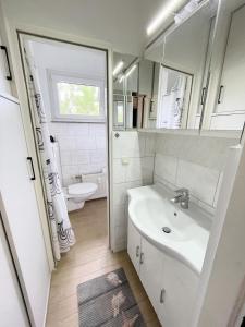 a bathroom with a sink and a toilet at Ferienwohnung Tannenhöhe direkt am Wald in Schulenberg im Oberharz