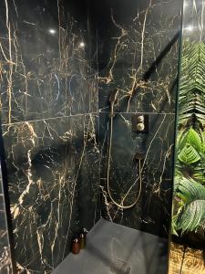 a bathroom with a black and white marble wall at O2M Aix les bains in Aix-les-Bains +16 photos