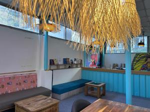 Fotografie z fotogalerie ubytování Serendipity Hostel & Cats Cafe v destinaci Rišikéš