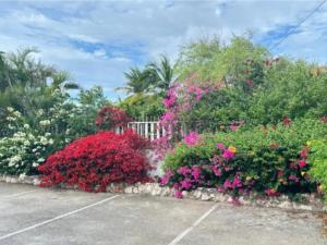 Um jardim no exterior de Apartment "Always SUNday", Lagoon Ocean Resort
