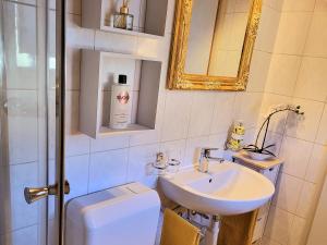 Vannituba majutusasutuses Traumhaftes Appartment in Ascona nur 200m vom Lago Maggiore entfernt +18 fotot