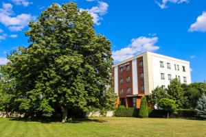 a tree in a field next to a building at Amazona Hotel in Prishtinë