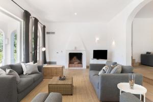 a living room with two couches and a fireplace at Villa Eagle in Benalup Casas Viejas