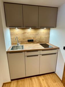 a kitchen with a sink and a counter top at Alpennest Blindau in Reit im Winkl