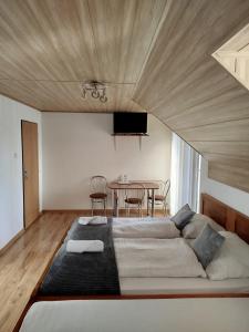 TV a/nebo společenská místnost v ubytování Guest House Kovalik
