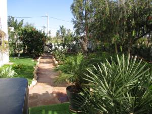 a garden with plants and trees and a pathway at Dar Mozart in Essaouira +14 photos