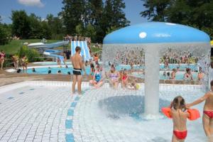 a group of people in a pool at a water park at Chalet Fuchsia à Argentat in Argentat