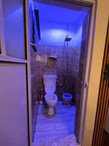 un bagno con wc e doccia di LOGA Apartment a Lagos