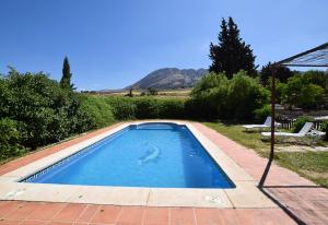 un delfino che nuota in una piscina in un cortile di Cortijo Los Alazores, authentic cortijo with private pool a Loja