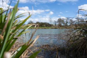 Foto sihtkohas Saxtead asuva majutusasutuse Willow Cottage galeriist