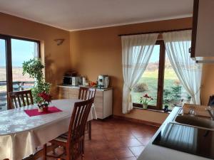 a kitchen and dining room with a table and a window at VIS PENSION in Viile Satu Mare