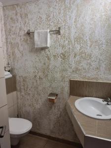 a bathroom with a sink and a toilet at VIS PENSION in Viile Satu Mare +49 photos