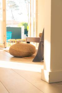 Fotografie z fotogalerie ubytování Villa au calme avec piscine, grand jardin et studio indépendant v destinaci Andernos-les-Bains + 32 fotografií