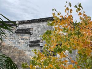 Foto dalla galleria di Standing in the wild a Xiwu