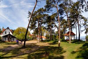 Příroda nedaleko penzionu