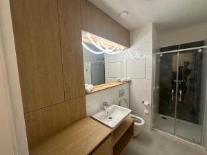 Kúpeľňa v ubytovaní Apartment VAŇKOVKA